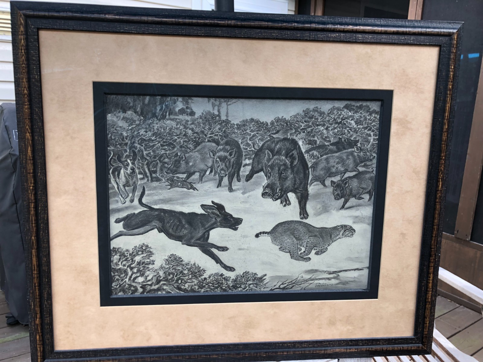 Original Charcoal Drawing Illustration 1950 Book «The Wahoo Bobcat» Paul Bransom