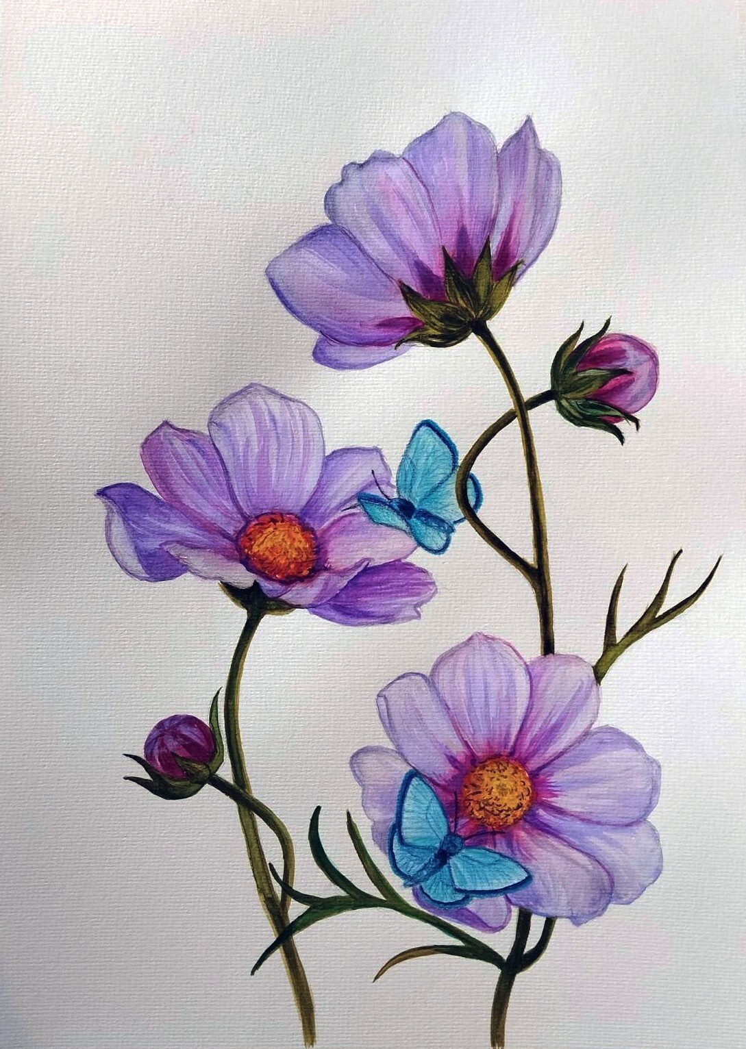 Purple Flowers original Watercolor painting Cosmos Daisy Butterfly Botanical Art