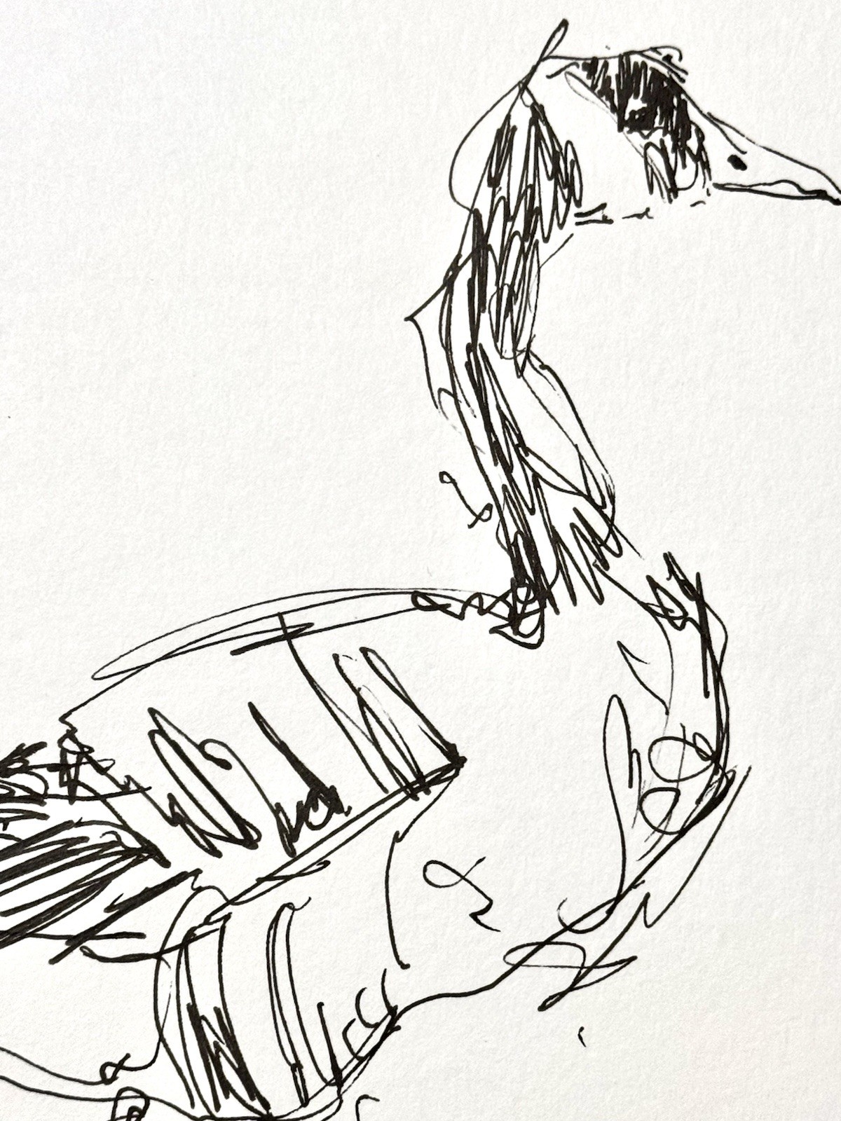 Original Abstract Expressionism 9X12 Goose Paper Ink Gestural Handmade Signed 14
