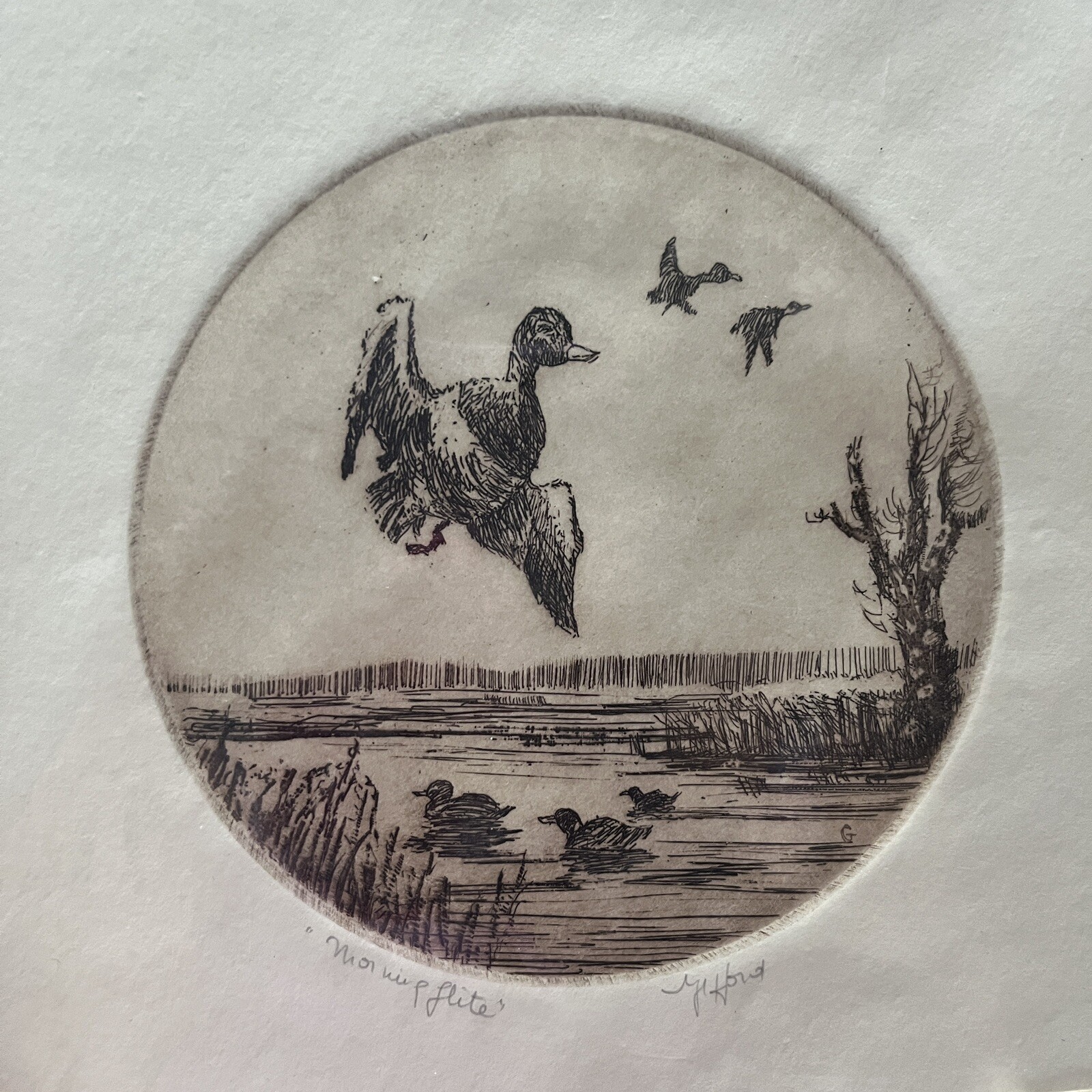 Vintage Original Etching Ducks flying paint «Morning flite», Signed Gifford