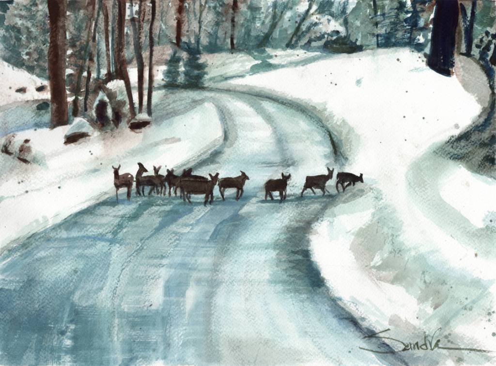 Deer in the Sierra : ORIGINAL WATERCOLOR PAINTING : Sandra Watercolors™