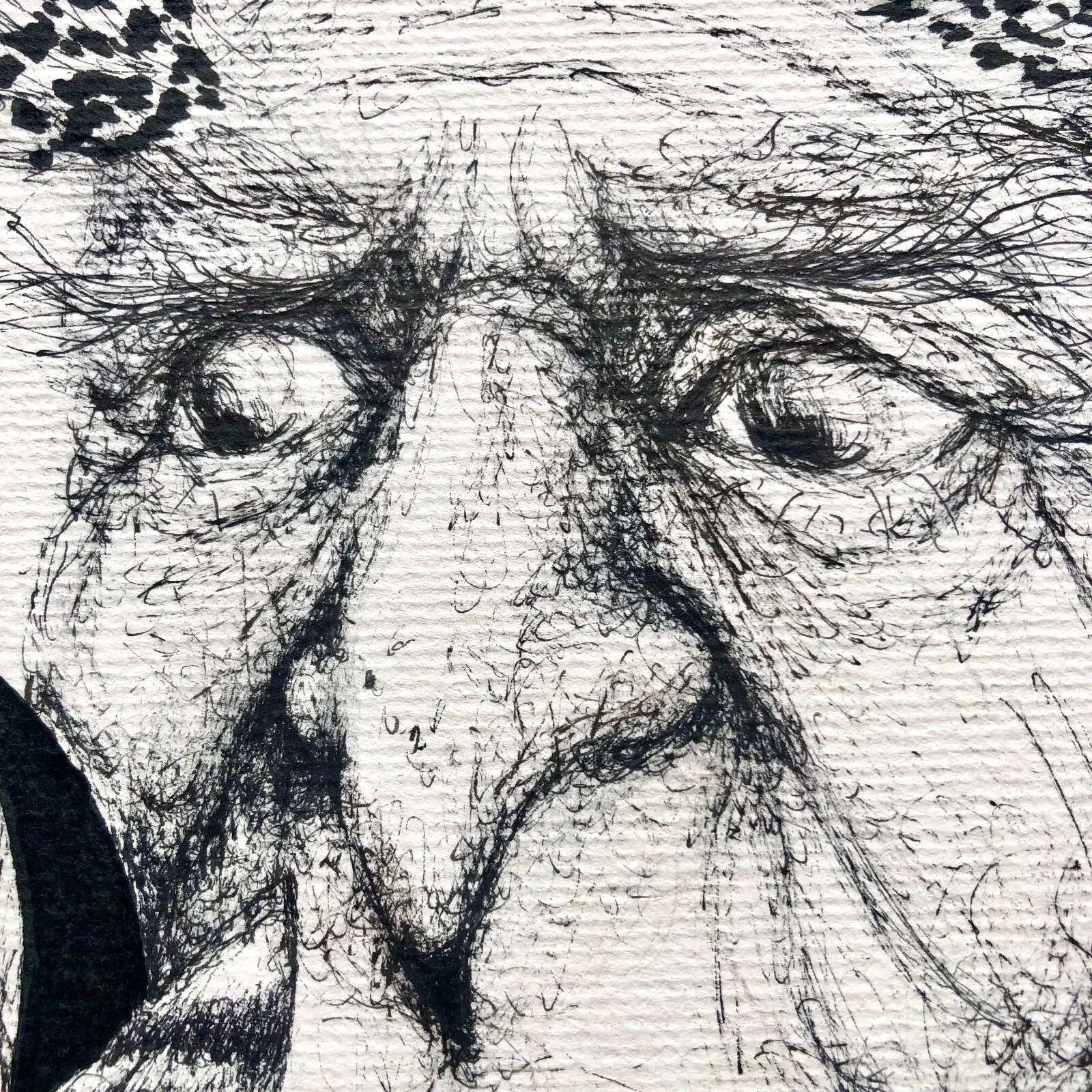 ALAIN DONATE CUBAN ART Painting ORIGINAL SKETCH DRAWING INK /CARDBOARD 12″X 16″
