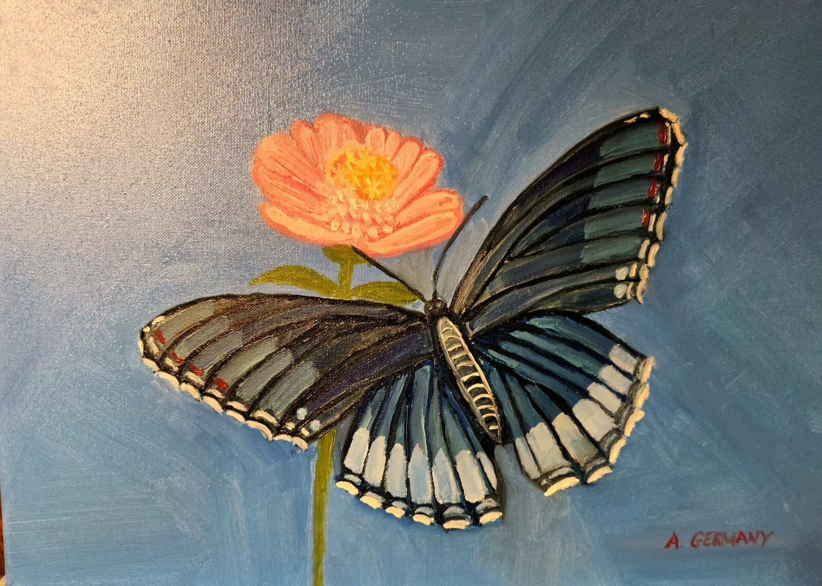 Butterfly and zinnia original oil painting Not A Print Artist A. Germany 16×20