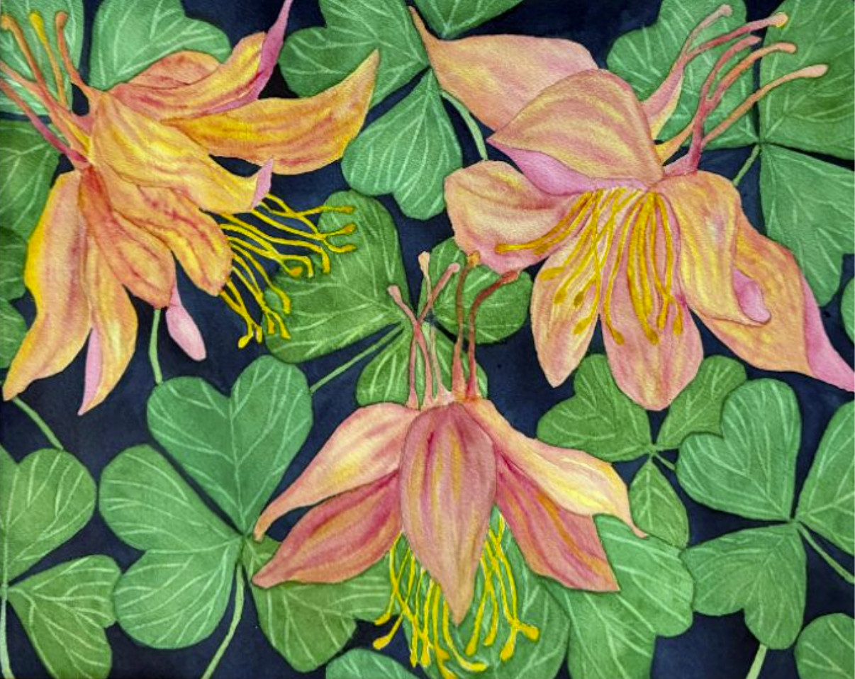 PAINTING WATERCOLOR 11X14 & WHITE MAT 16X20 FLOWER COLUMBINE PINK ORANGE CORAL