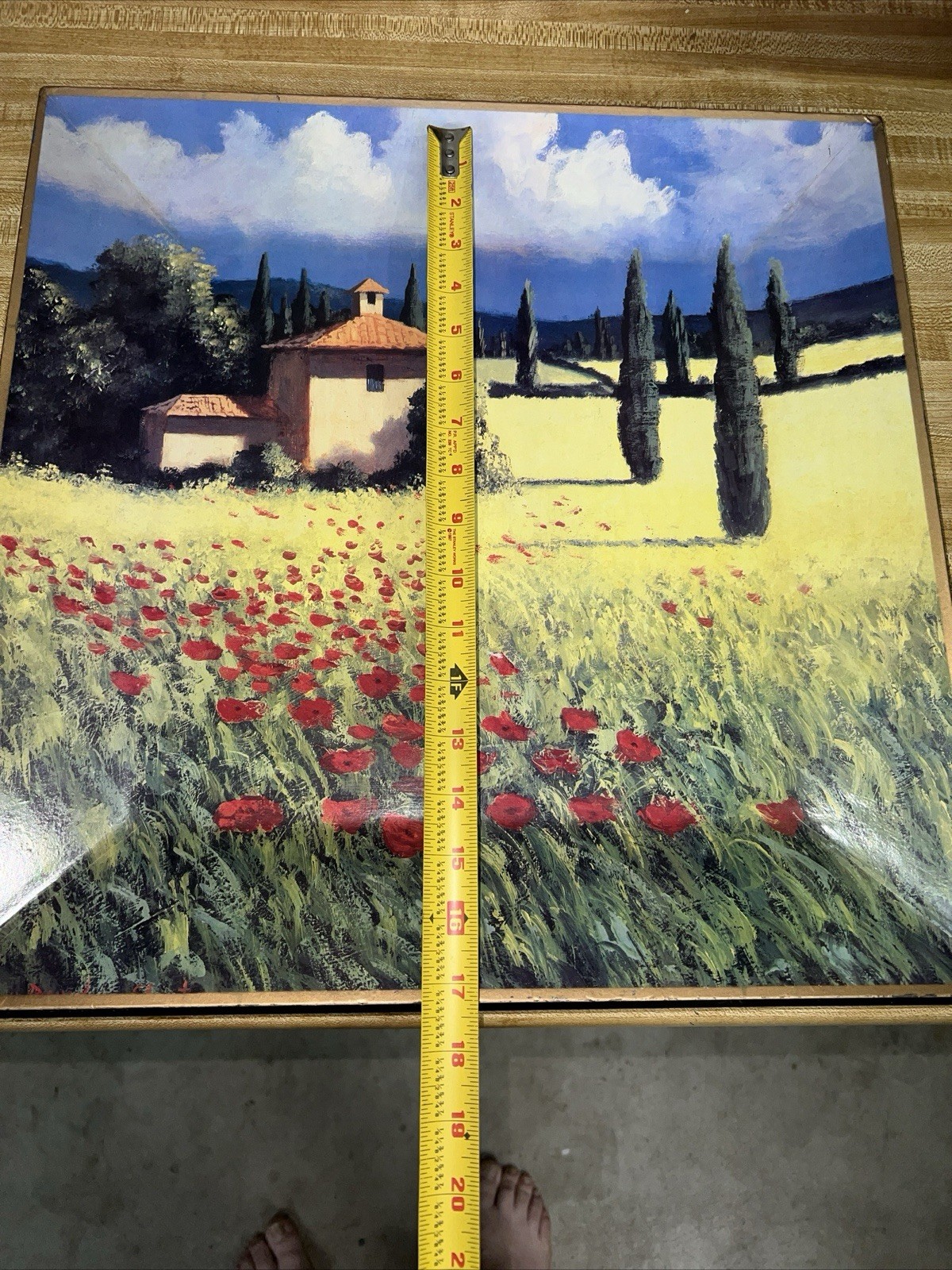 David Short Summer Brilliant Print On Beveled Tray With Wall Hanger 18 X 18