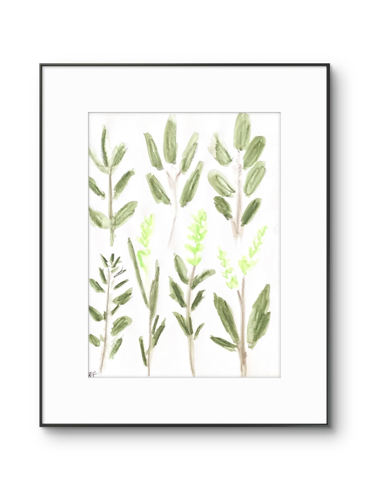 Colorful Leaves Plant Botanical Art Modern Original 11 x 14 Paper