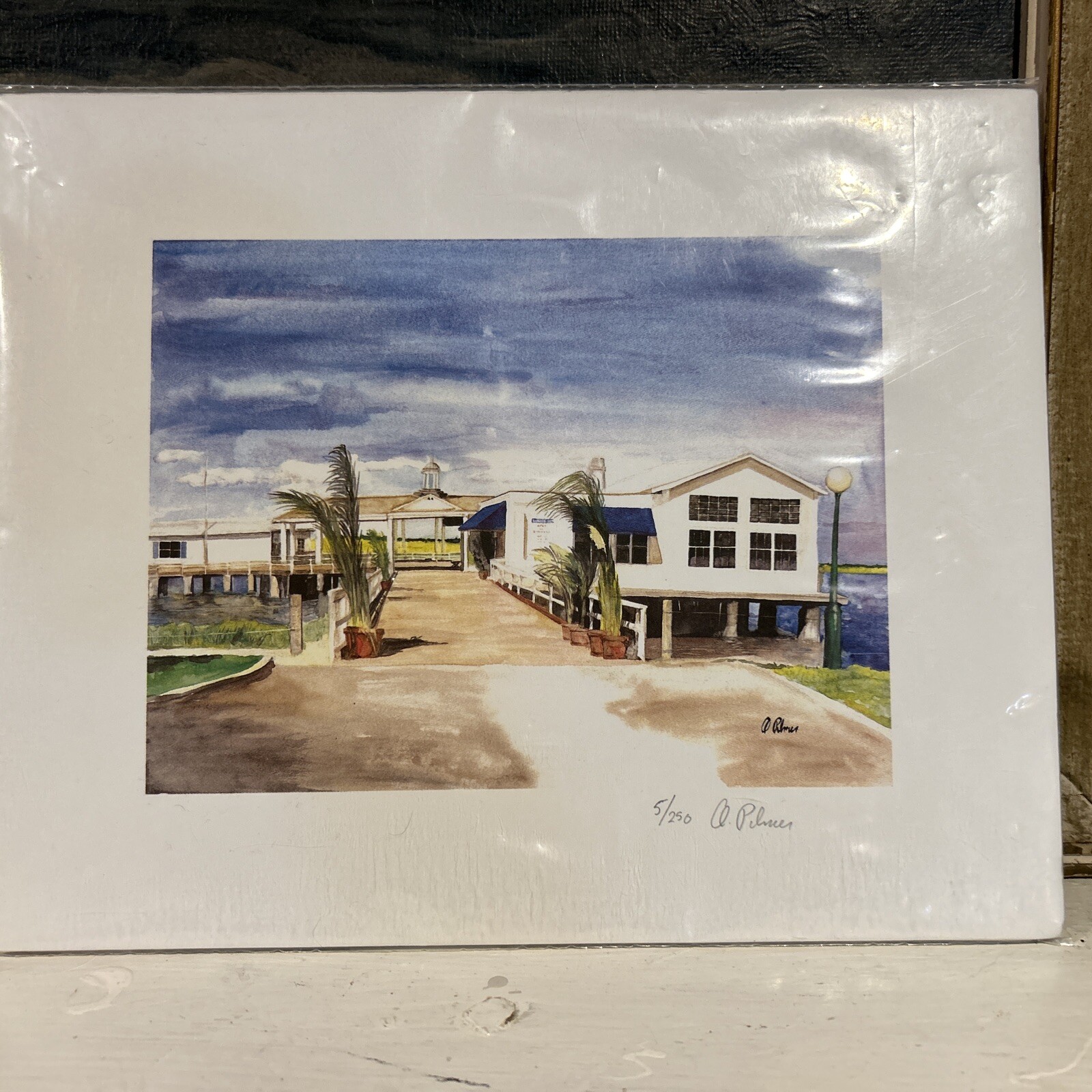 Original Beach House Art by Andrew Palmer