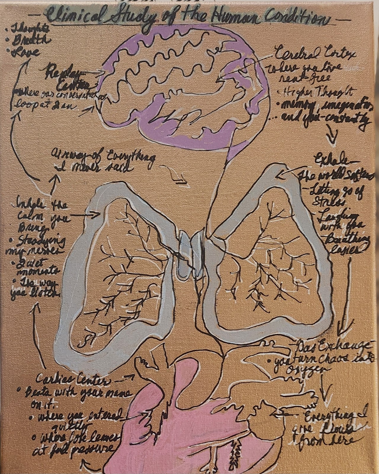 Clinical Study Of The Human Condition Anatomical Brain Lungs Heart Art