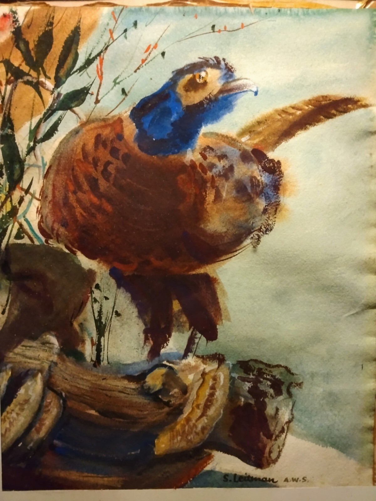 Samuel Leitman (1908 – 1982) Pheasant American Watercolor Society. A. W. S.