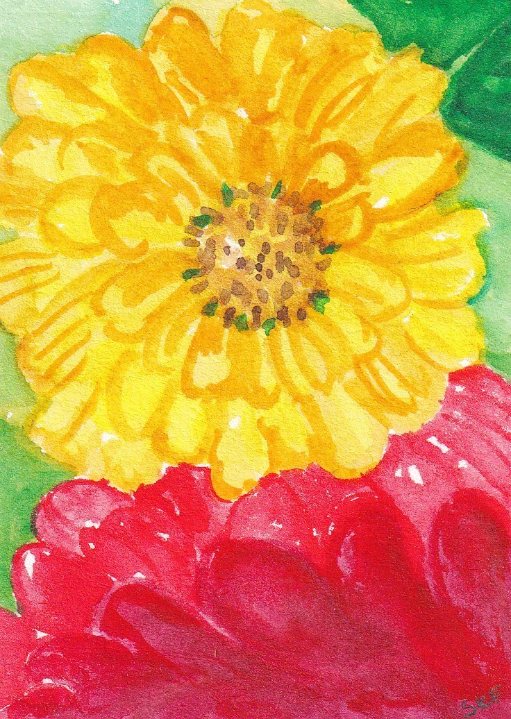 Original ACEO Yellow, Red Zinnia Watercolor Painting, Sharon Foster