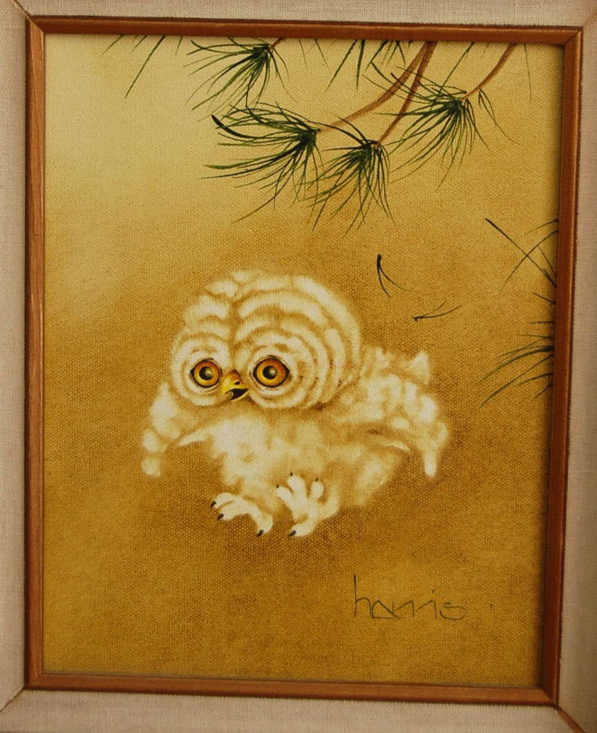 VTG 1984 FRAMED SIGNED PEGGY HARRIS ORIGINAL SMALL OWL OIL PAINTING «GERONIMO!»
