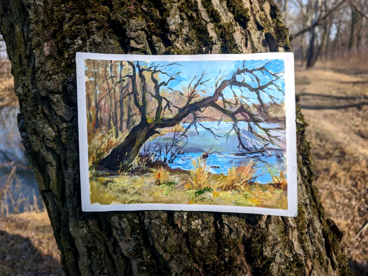 PAINTING Tree by the river 9×7 in