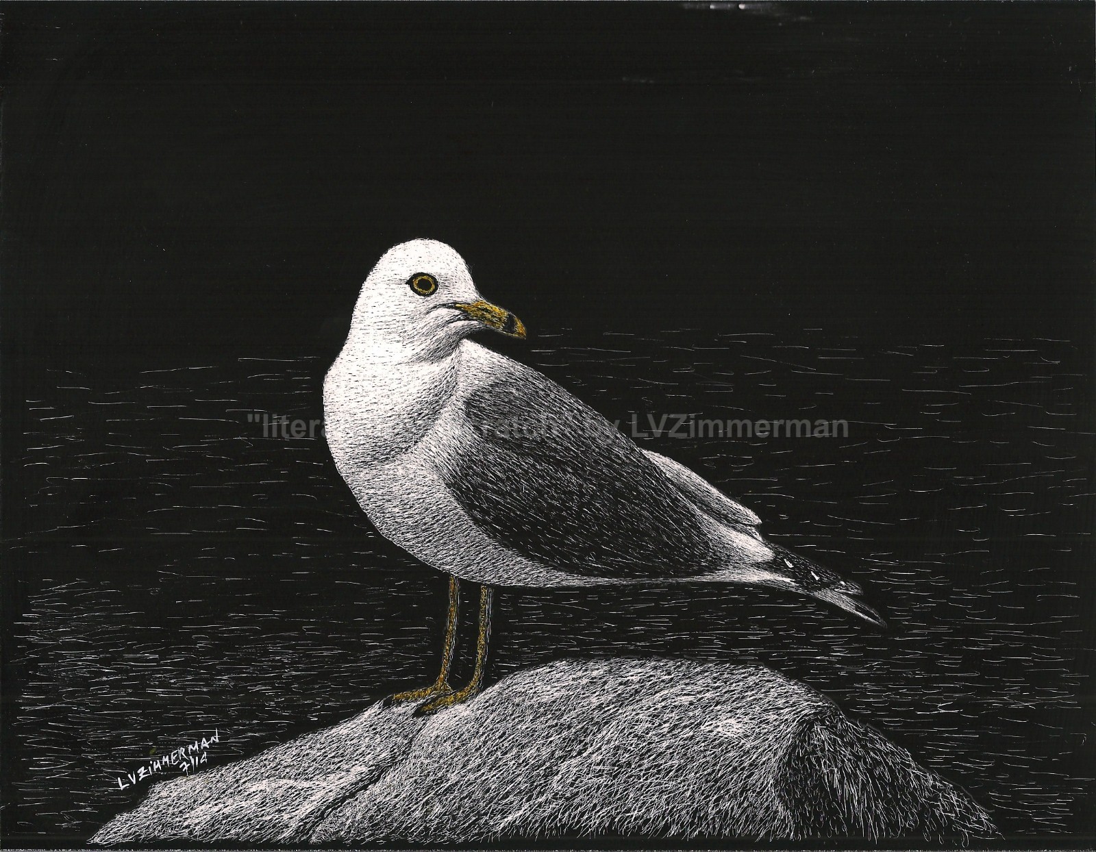 A Seagull Taking a Brake -Reg Board 8.5″x11″ Scratch Signed