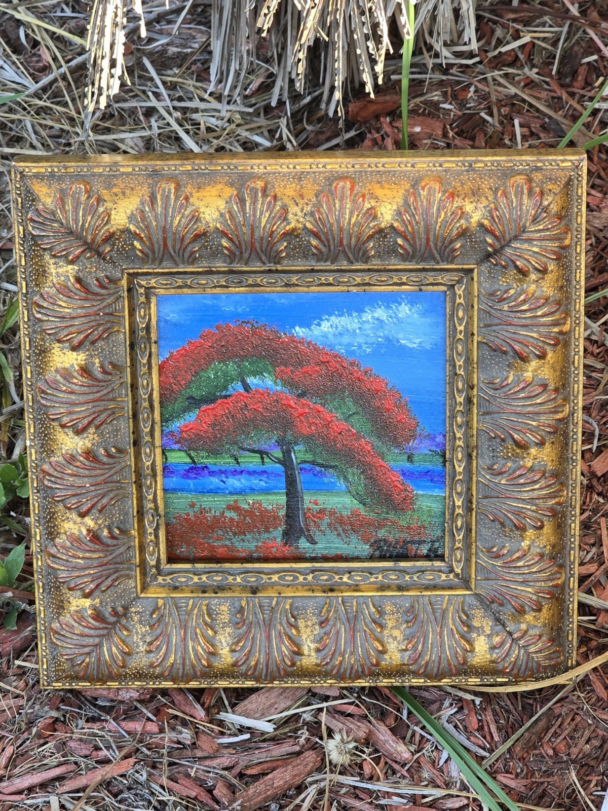 Royal Poinciana Tree 2nd-gen. Highwaymen Roderick Hair (son of Alfred Hair) MINI