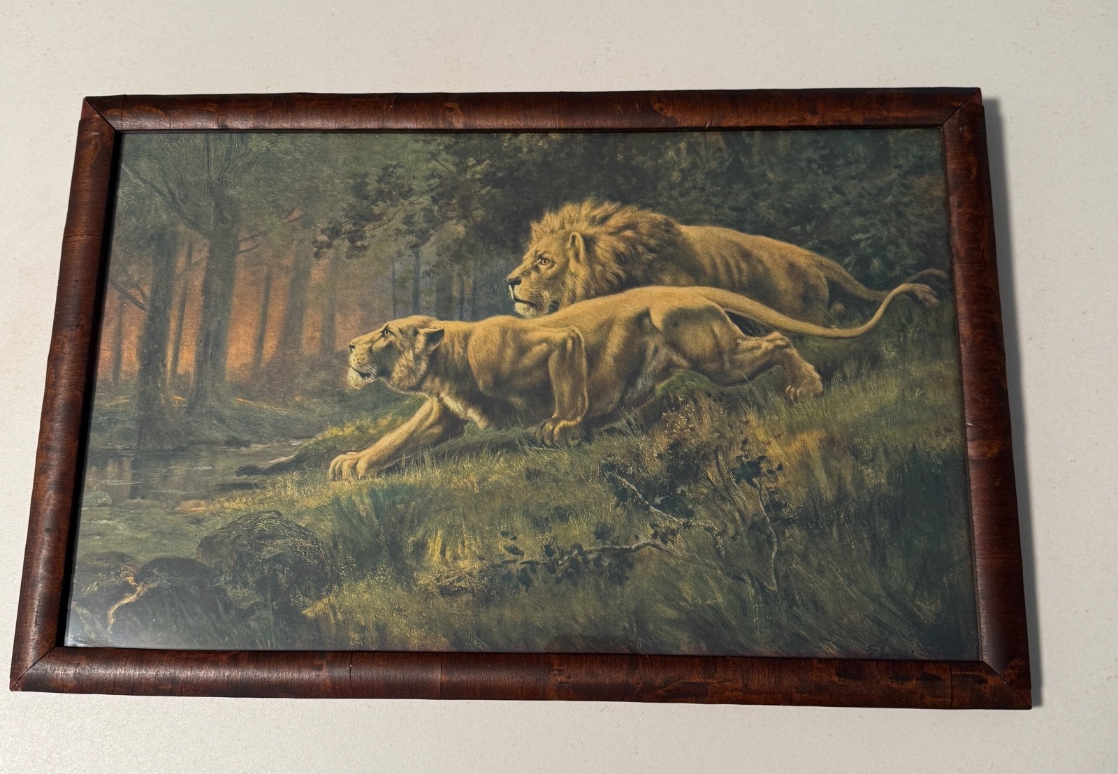 Lithograph Wildlife Safari Cabin Lo Vintage Framed Lion & Lioness Stalking Scene