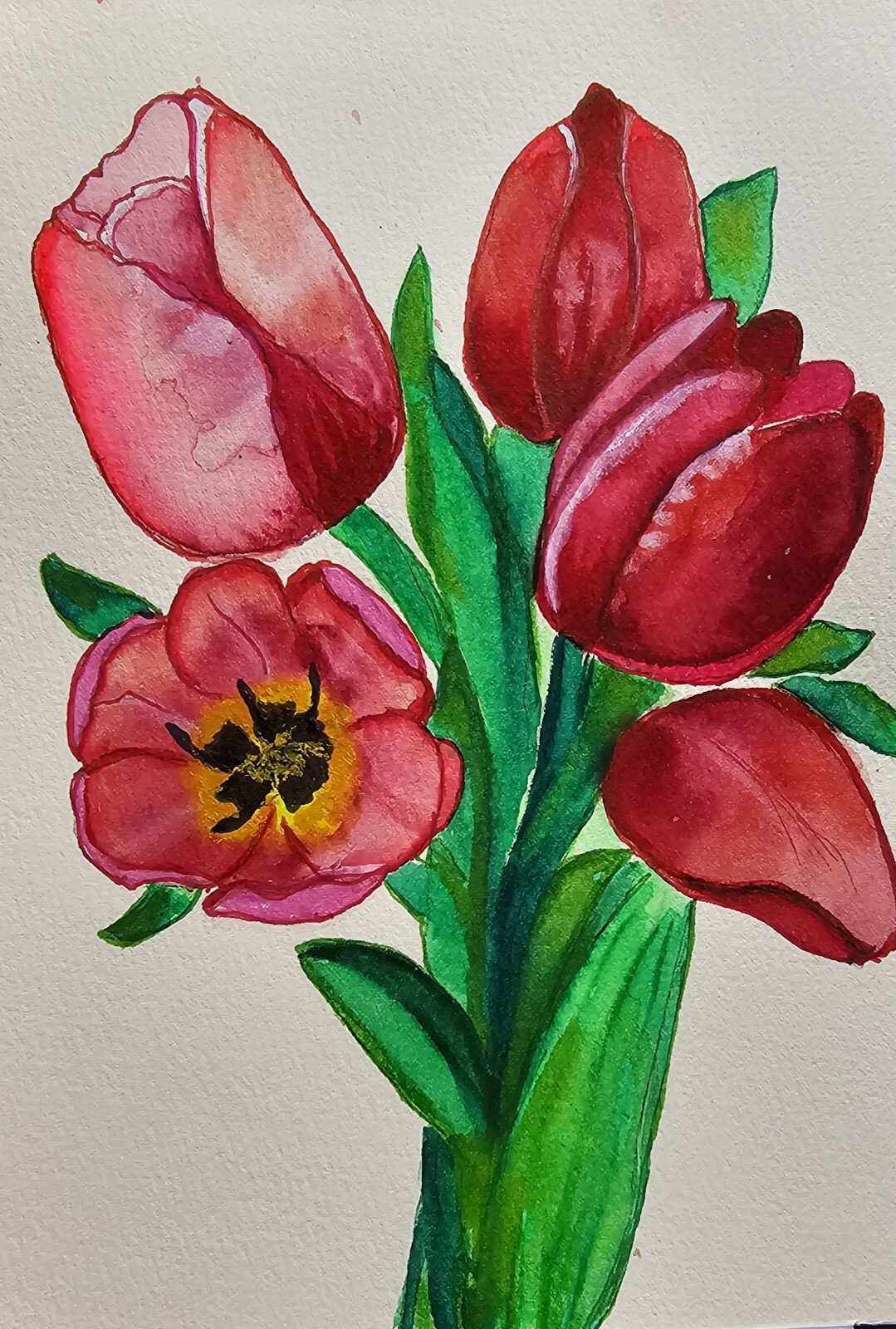 Red tones of love: an original tulip, hand-painted in watercolor – a beautiful