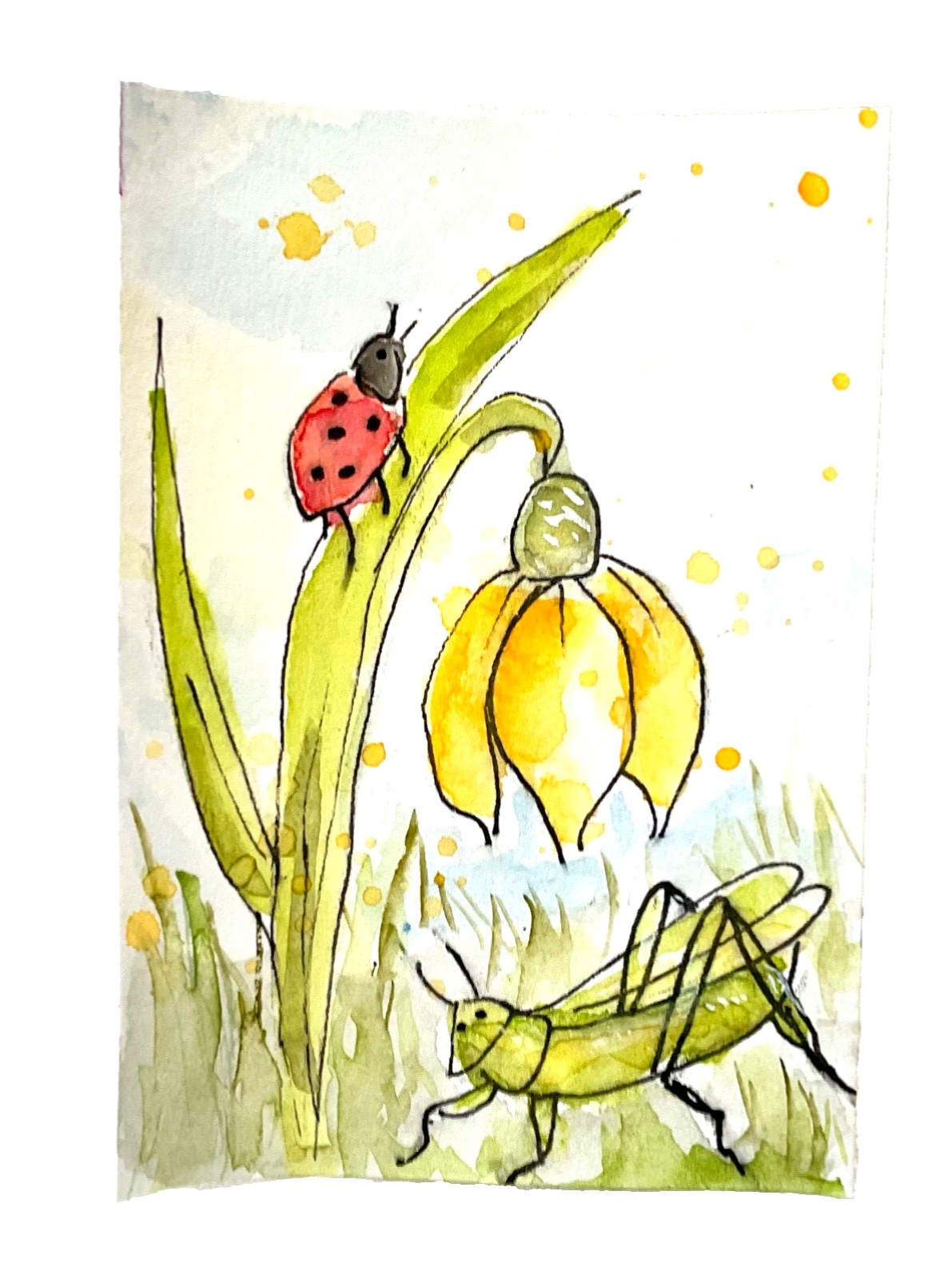 ACEO Original flowers yellow flowers grasshopper, ladybug Cherie Donnell