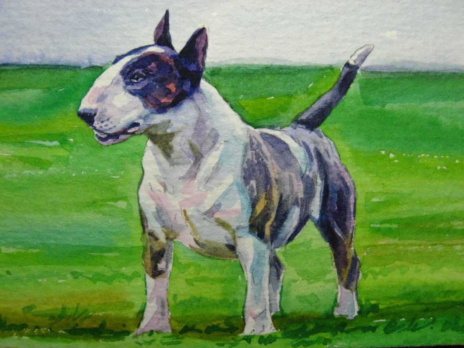 Watercolor Painting Dog Breed Bull Terrier Home Pet Animals Nature Park ACEO Art