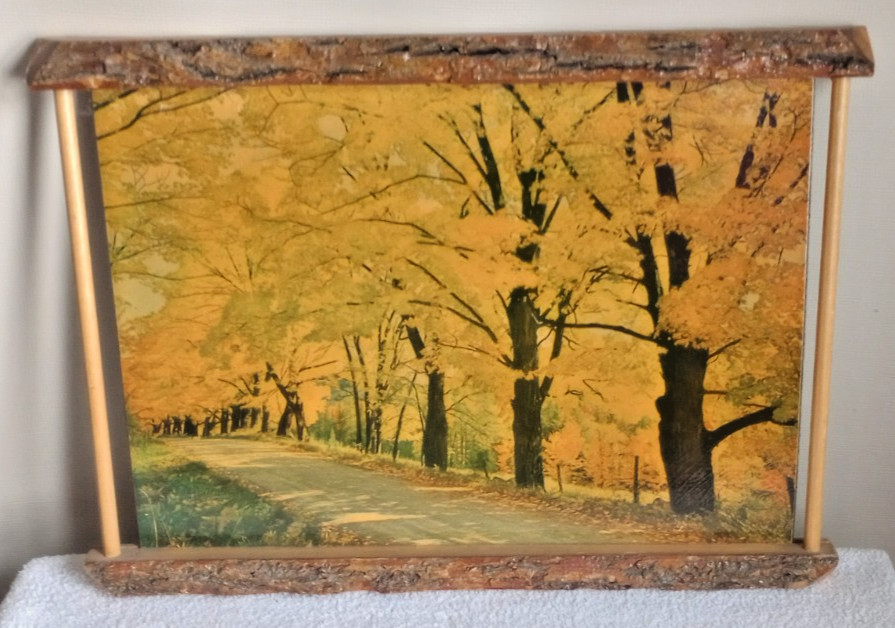 Vintage Oil Painting Autumn Scene on Board Handcrafted Wooden Frame