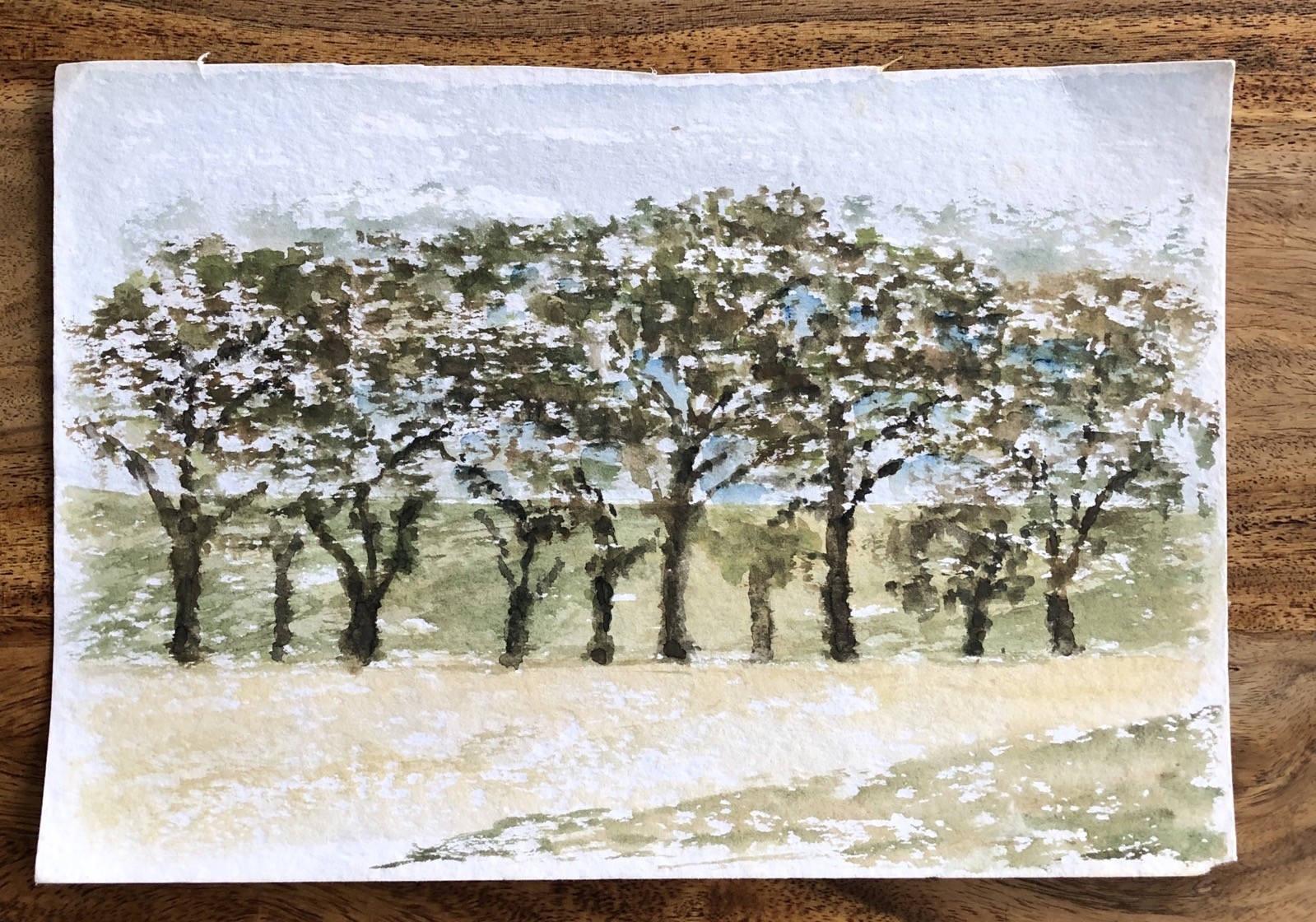 Unknown Impressionist – Grove – Fruit Blossom – Summer – Watercolour – 30X20, 5