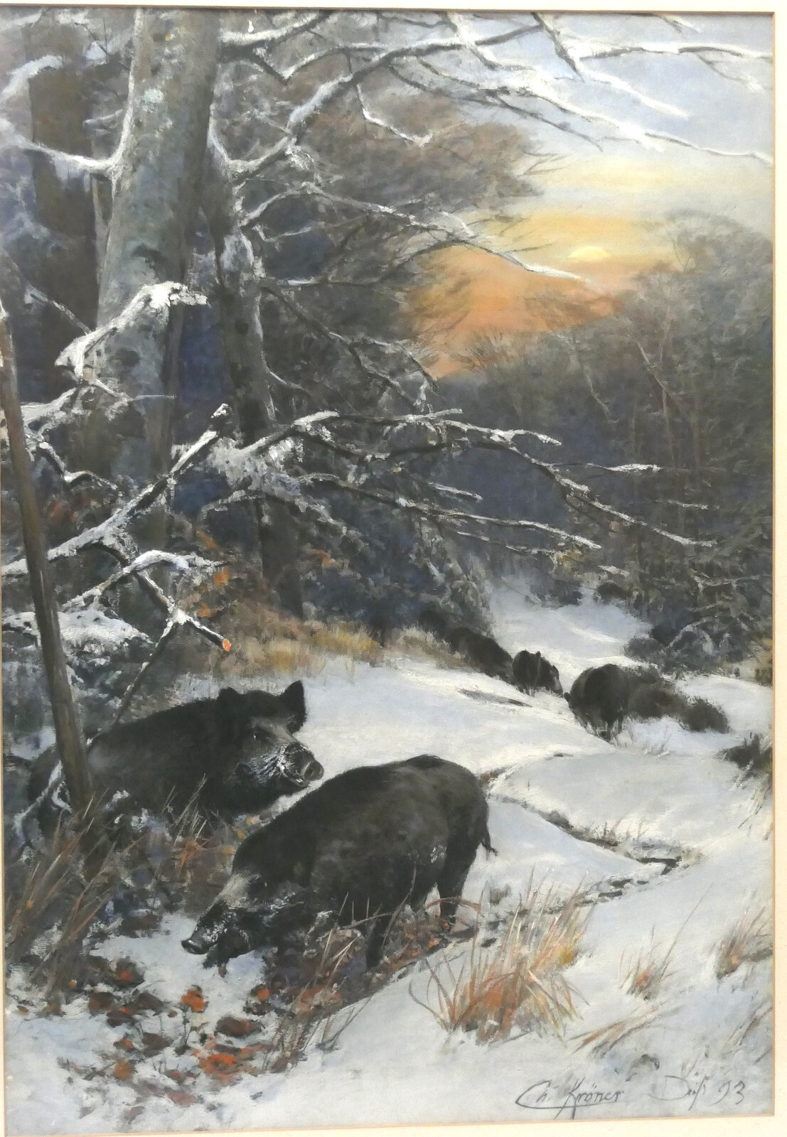Christian Kröner Gouache – Paper «Wild Boar Rotto» 1893 Framed 53.5 x 37.5 cm