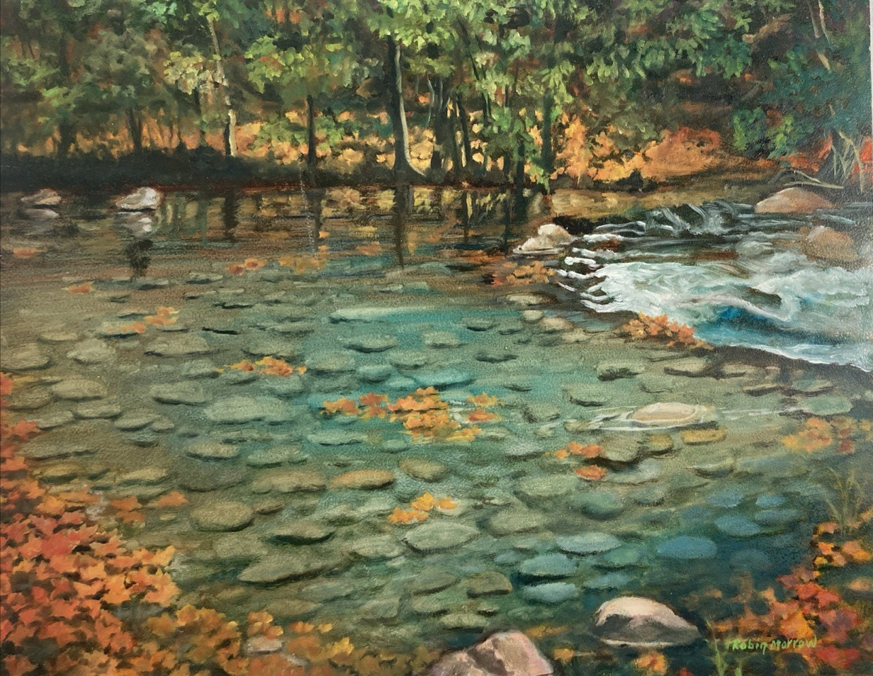 Vintage Original Oil Painting Reflective Forest Pond Fall Leaves Signed 16 X 20