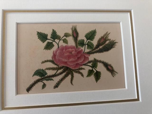 Antique Victorian  Botanical Floral Watercolor Flowers Romantic