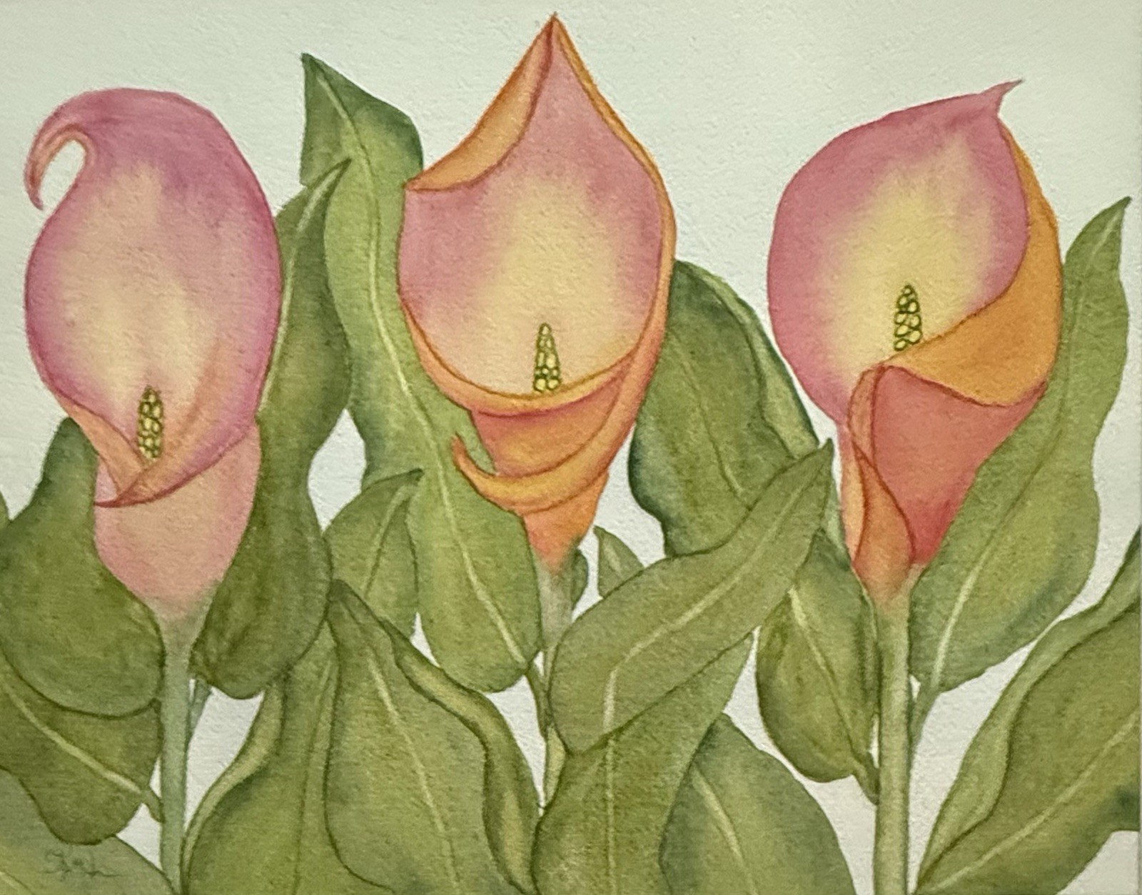 PAINTING WATERCOLOR 11X14 & MAT 16×20 FLOWER CALLA LILY PINK CORAL ORANGE ART
