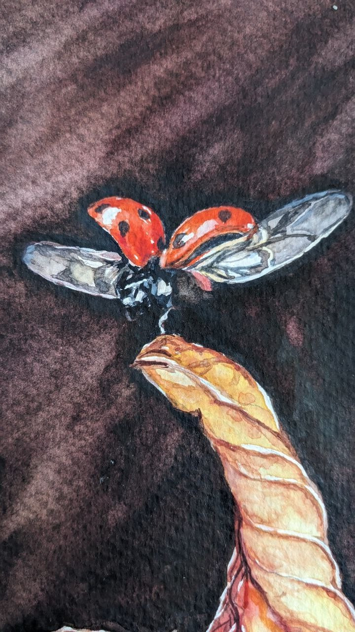 Autumn Orange Leaf & Ladybug Watercolor Painting Seasonal Fall Flying Insect Art
