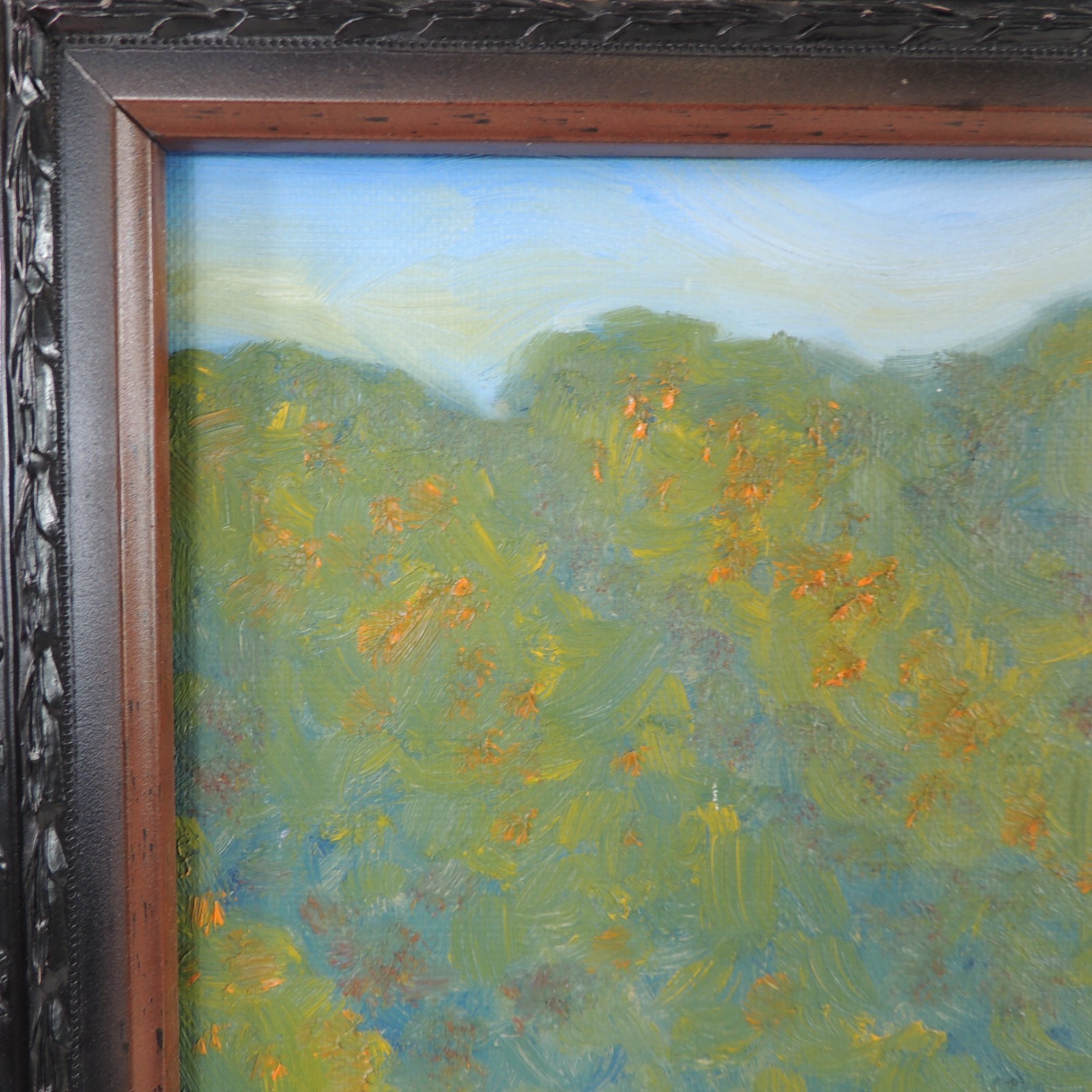 Original Painting Springtime Vineyard in the Foothills Brilliant Colors Framed