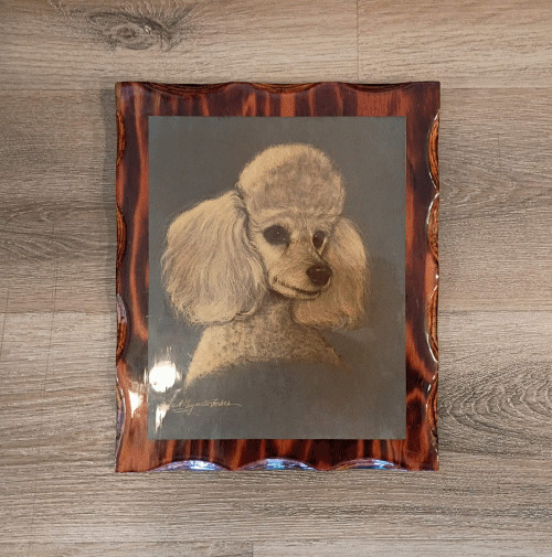 Robert Guzman Forbes Poodle Portrait 10″x12″ Wood Plaque Vintage RARE