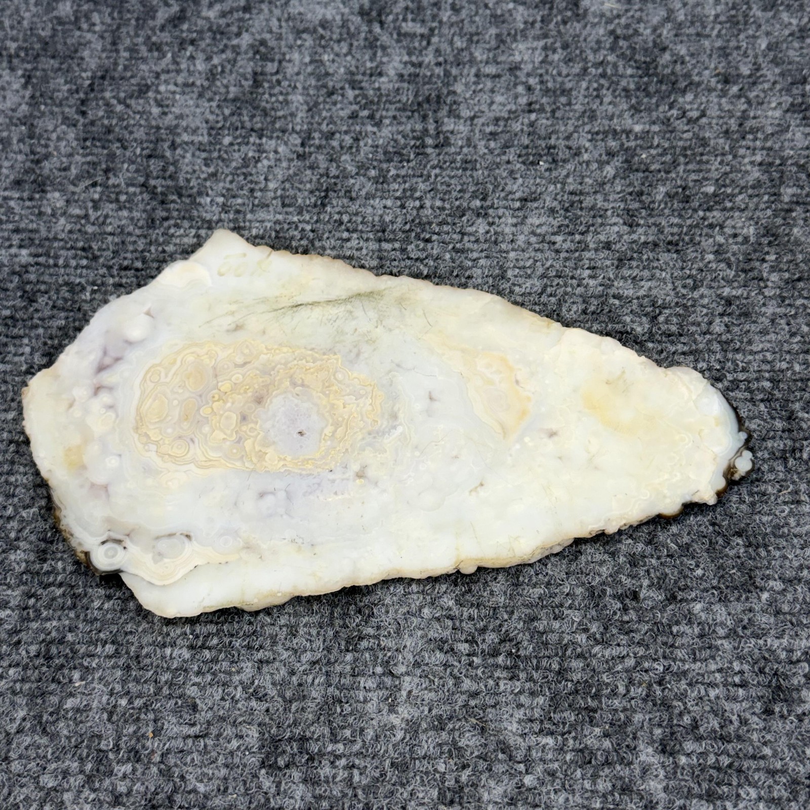 Haynes White Gray Acrylic Seagull Painting On Agate Slice OOAK Signed Beach