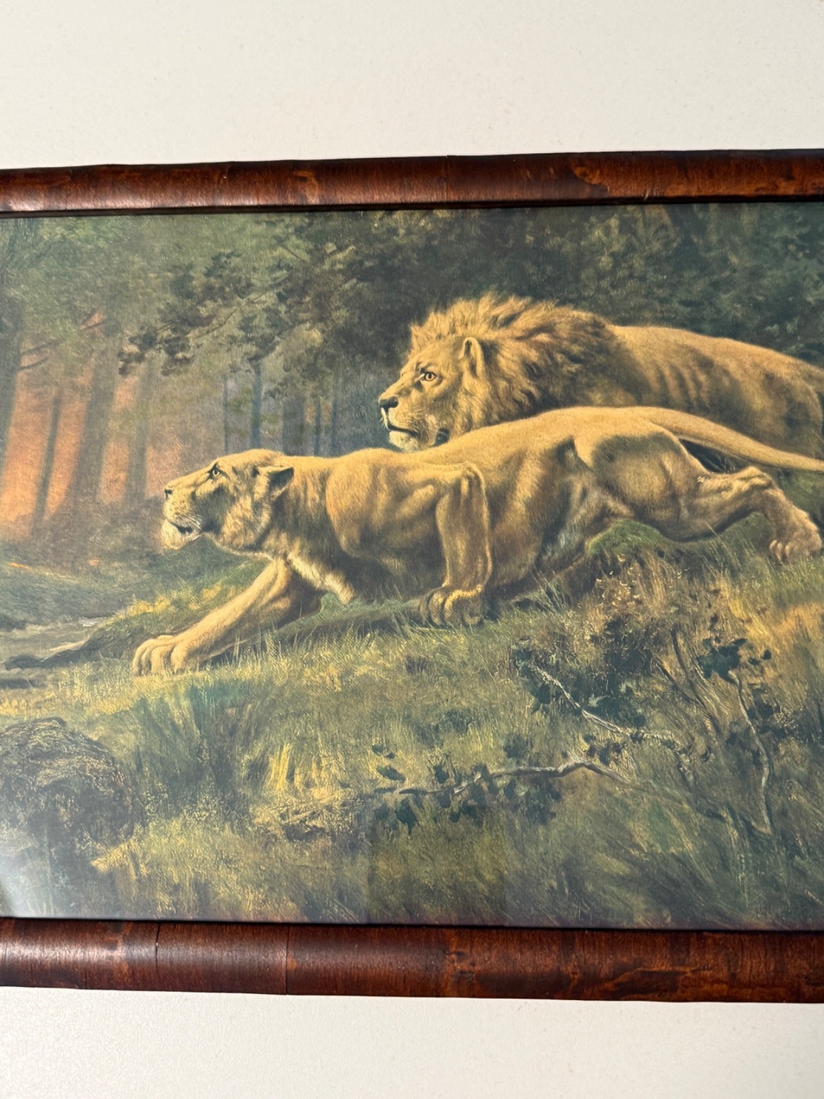 Lithograph Wildlife Safari Cabin Lo Vintage Framed Lion & Lioness Stalking Scene