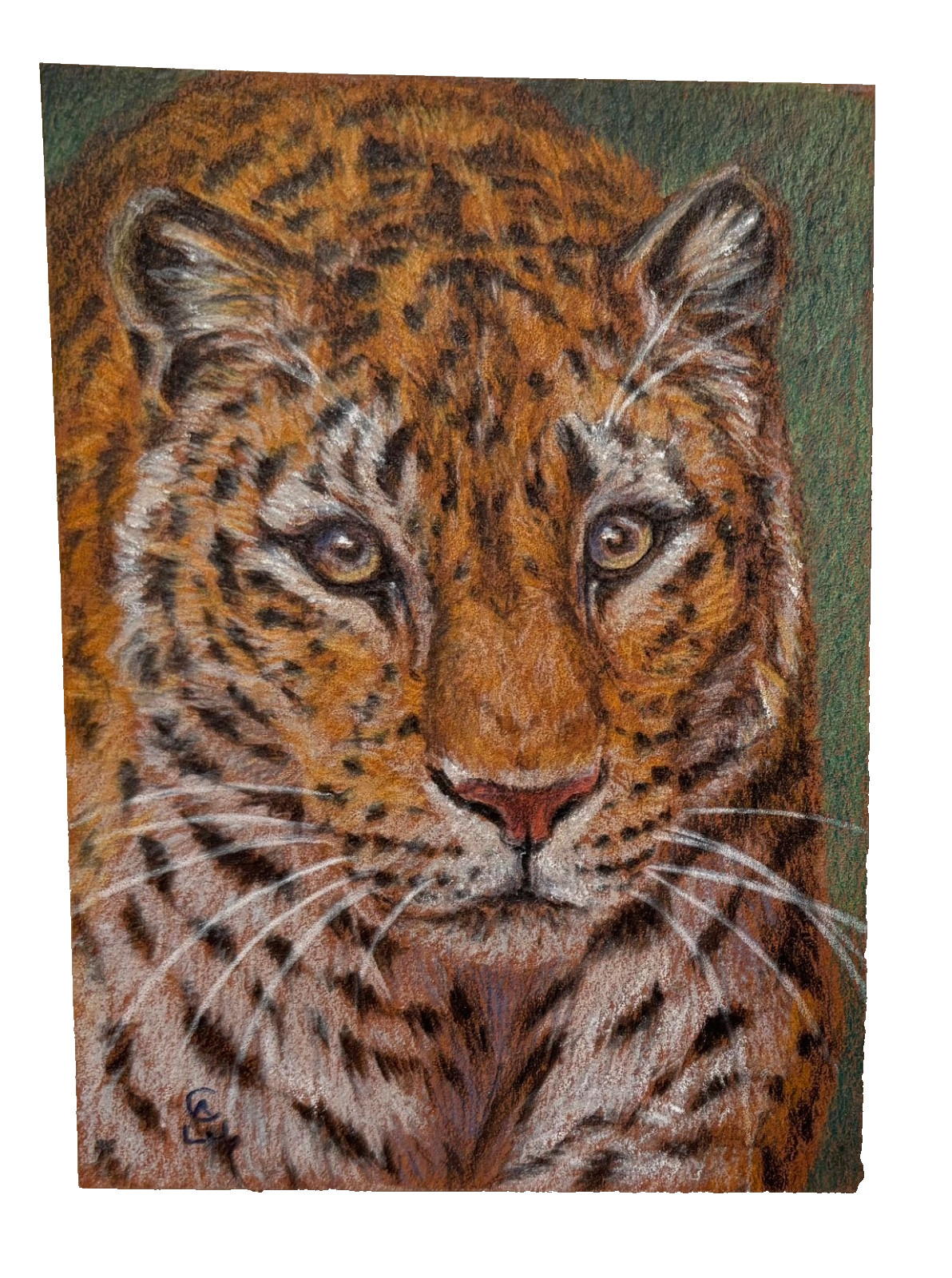 ACEO ORIGINAL Leopard Tiger Big Cat by artist Svetlana Ledneva-Schukina 2007