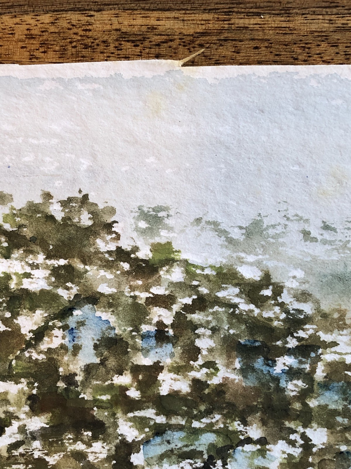 Unknown Impressionist – Grove – Fruit Blossom – Summer – Watercolour – 30X20, 5