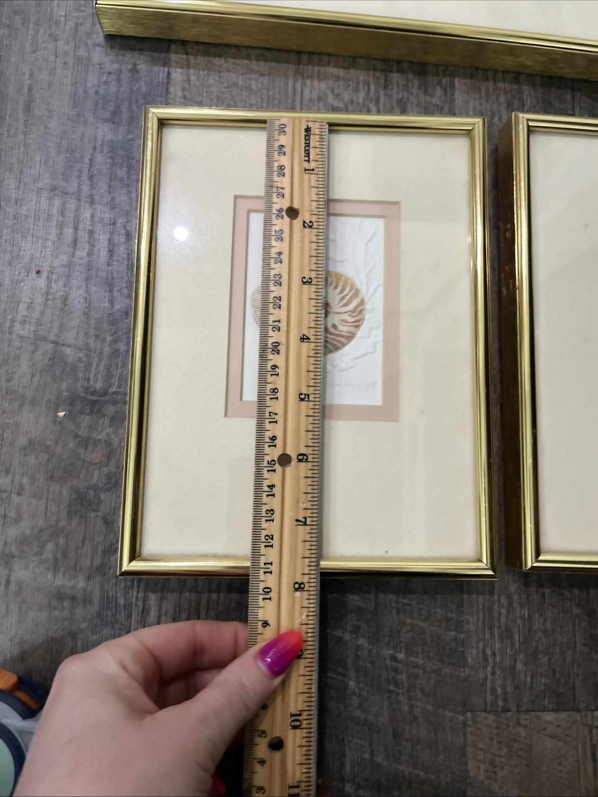 3 Vtg Matted Framed Signed And Dated Embossed Paper With Watercolor Seashells