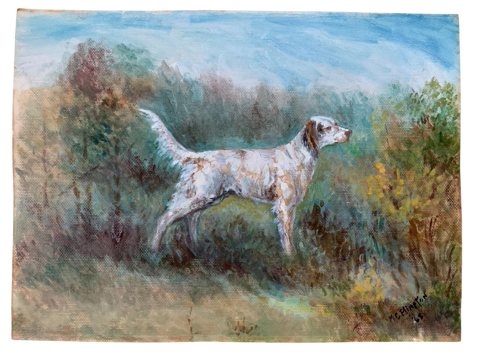 Vintage English Setter Dog Original Painting By M.C. Plimpton