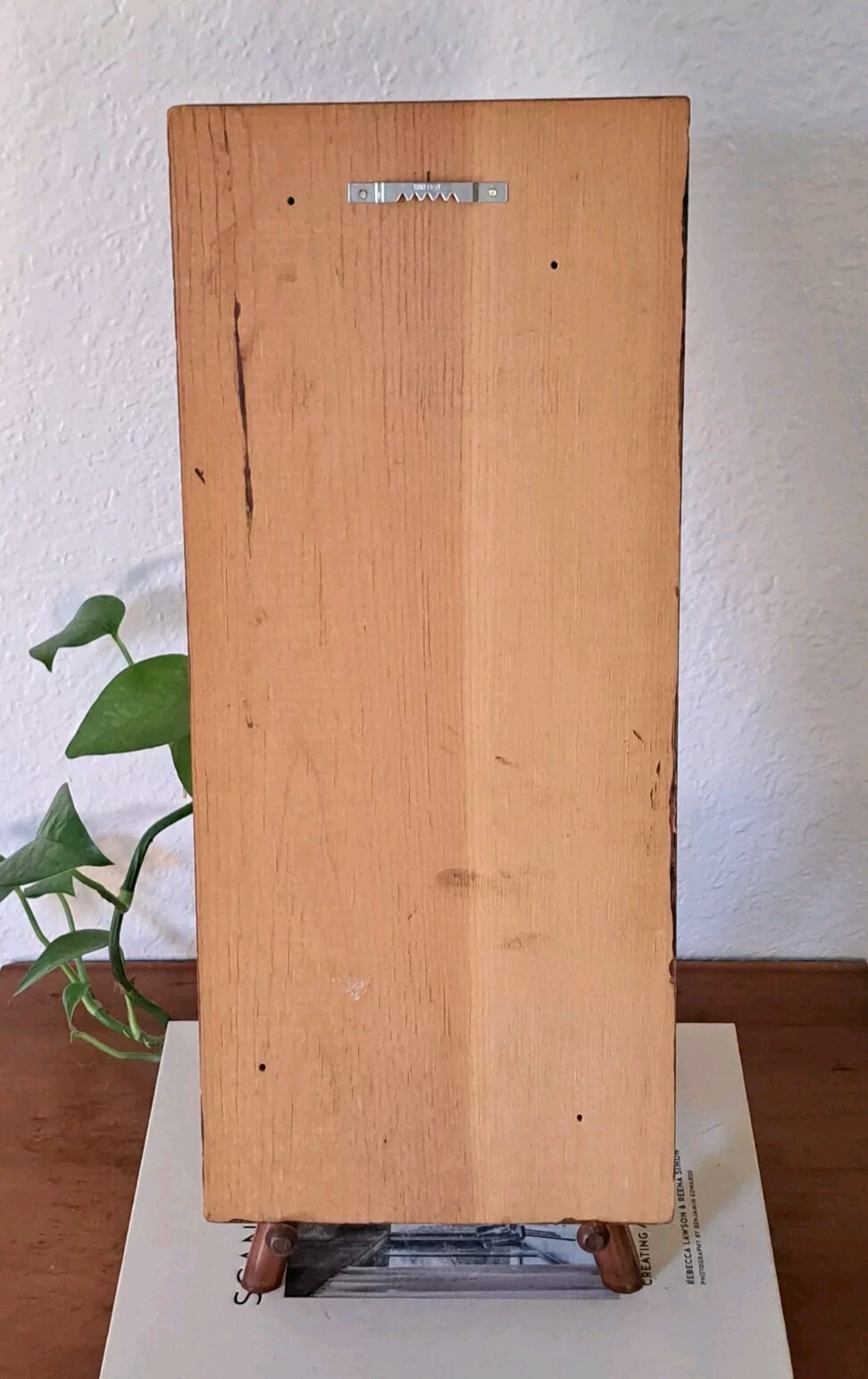 Primitive Style Original Painting On Wood Board Apple Stages Karen Stone 1974