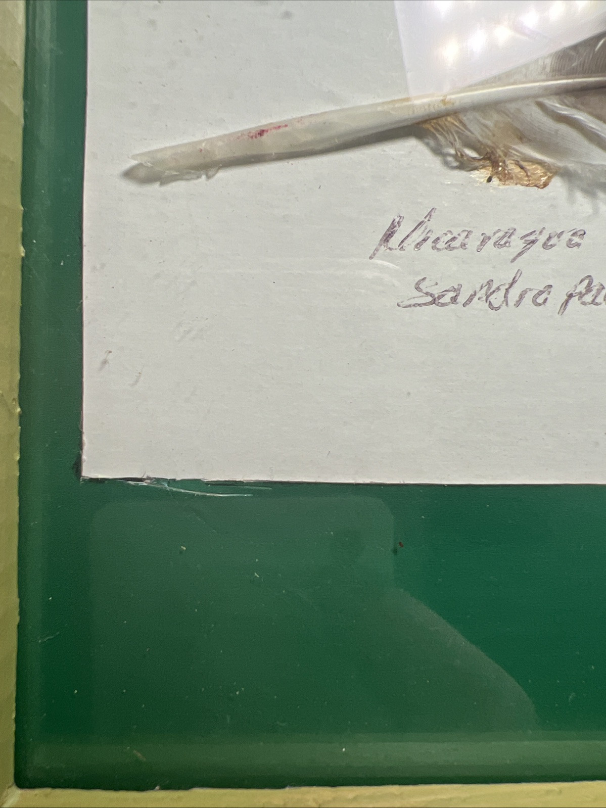Framed Hand Painted Feather Signed By Artist