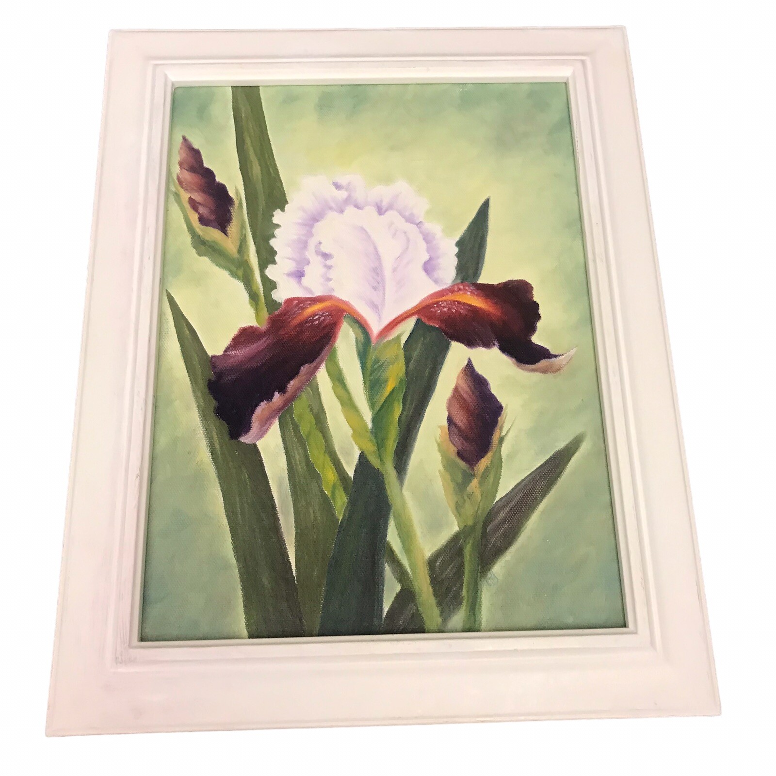 Iris Flowers Still Life Original Oil Painting On Canvas Framed VTG MCM