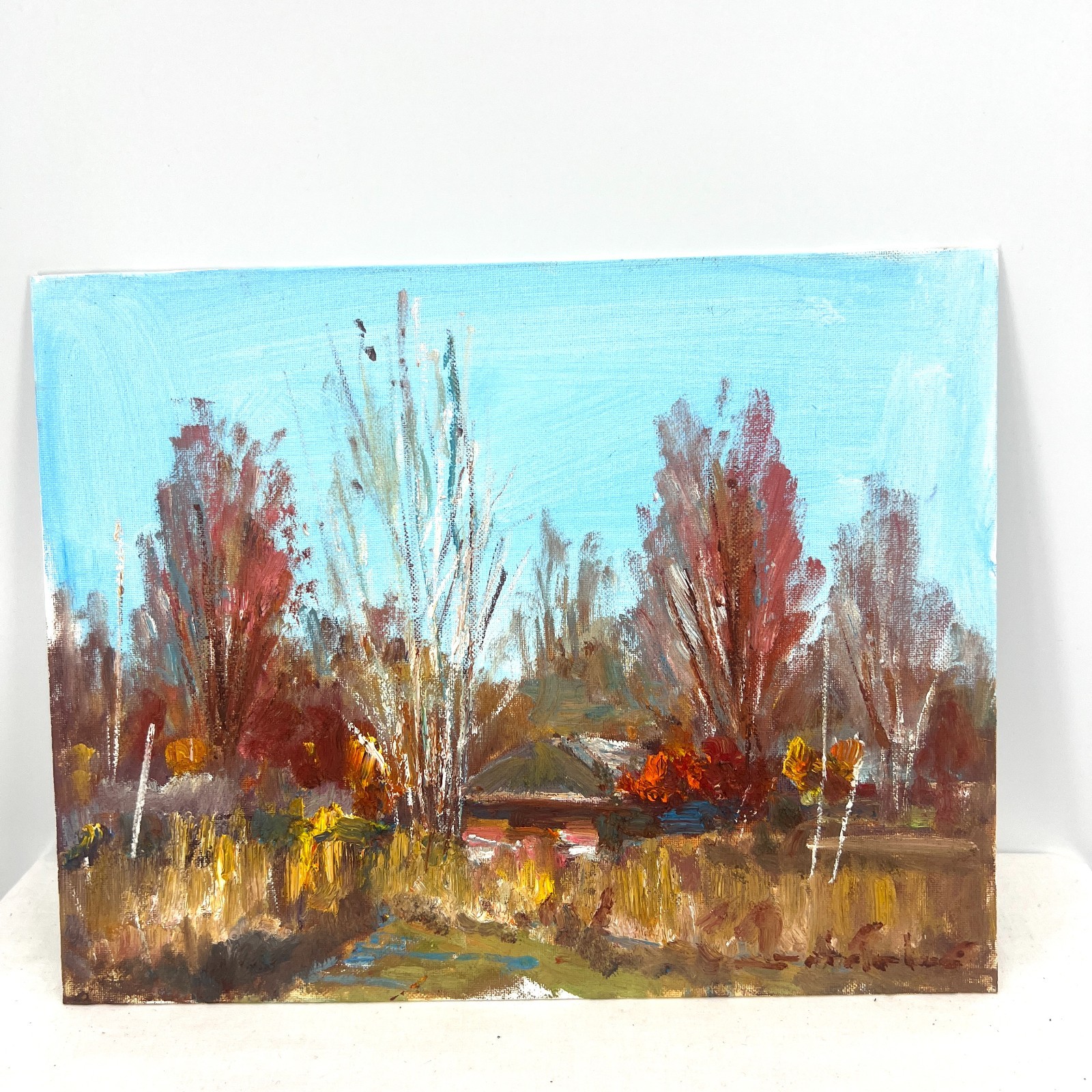 Original Artwork Study 11”x14” Oil Canvas Panel Fall Prairie Tadeusz Seidel