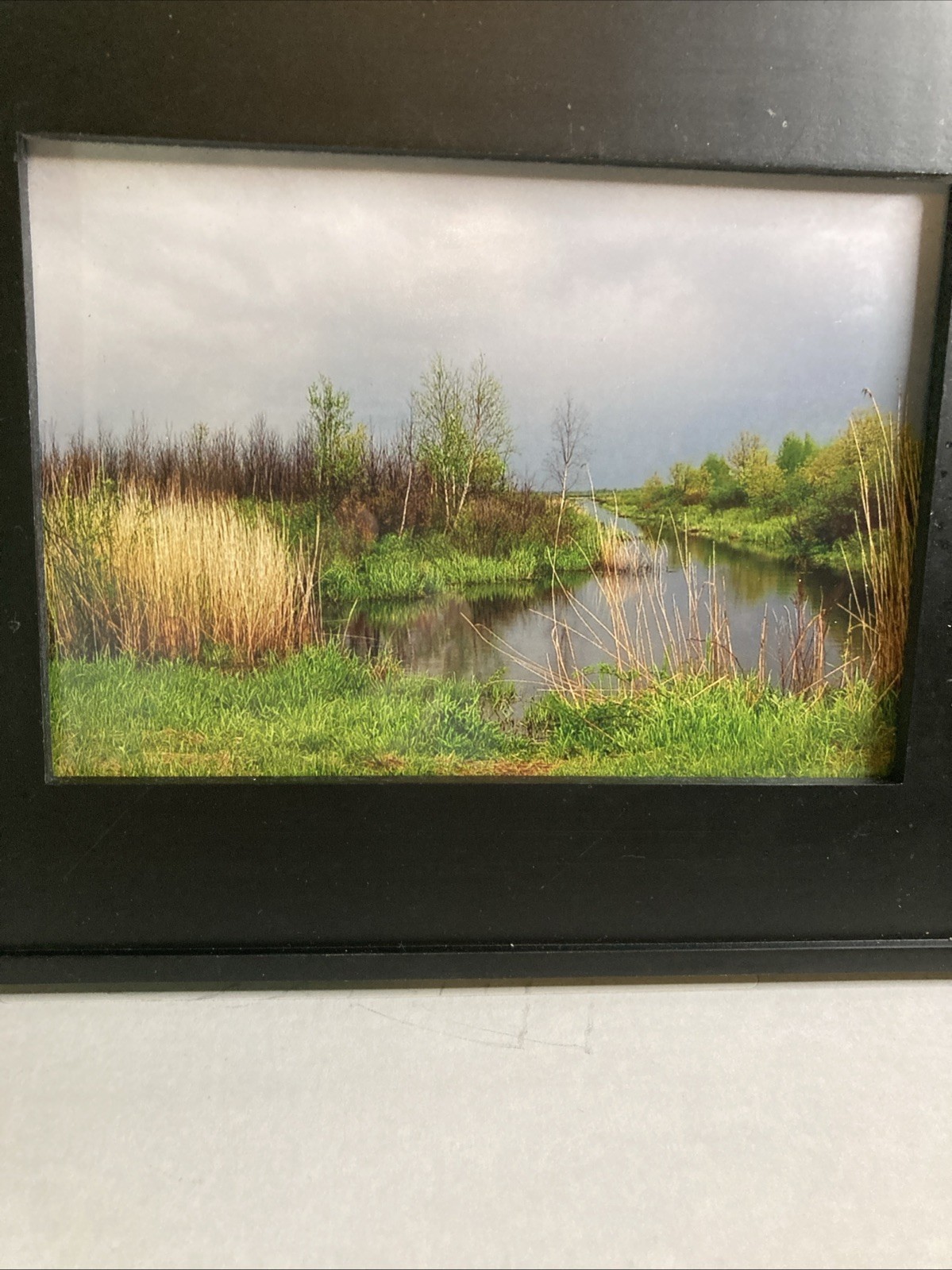Framed Landscape Photo Of Marsh Stream Grasses Reeds Trees Green-Yellow-Blue Hue