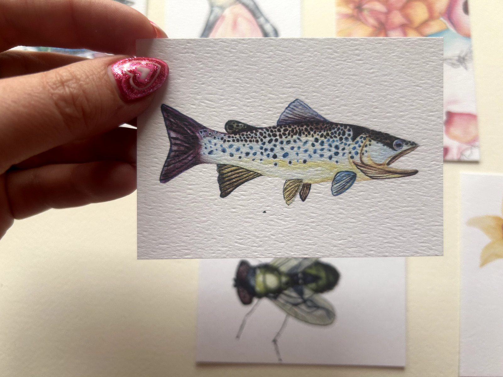 ACEO Edition- Print Sawyer Crane Watercolor Trout Fish Brooke Trout Brown River