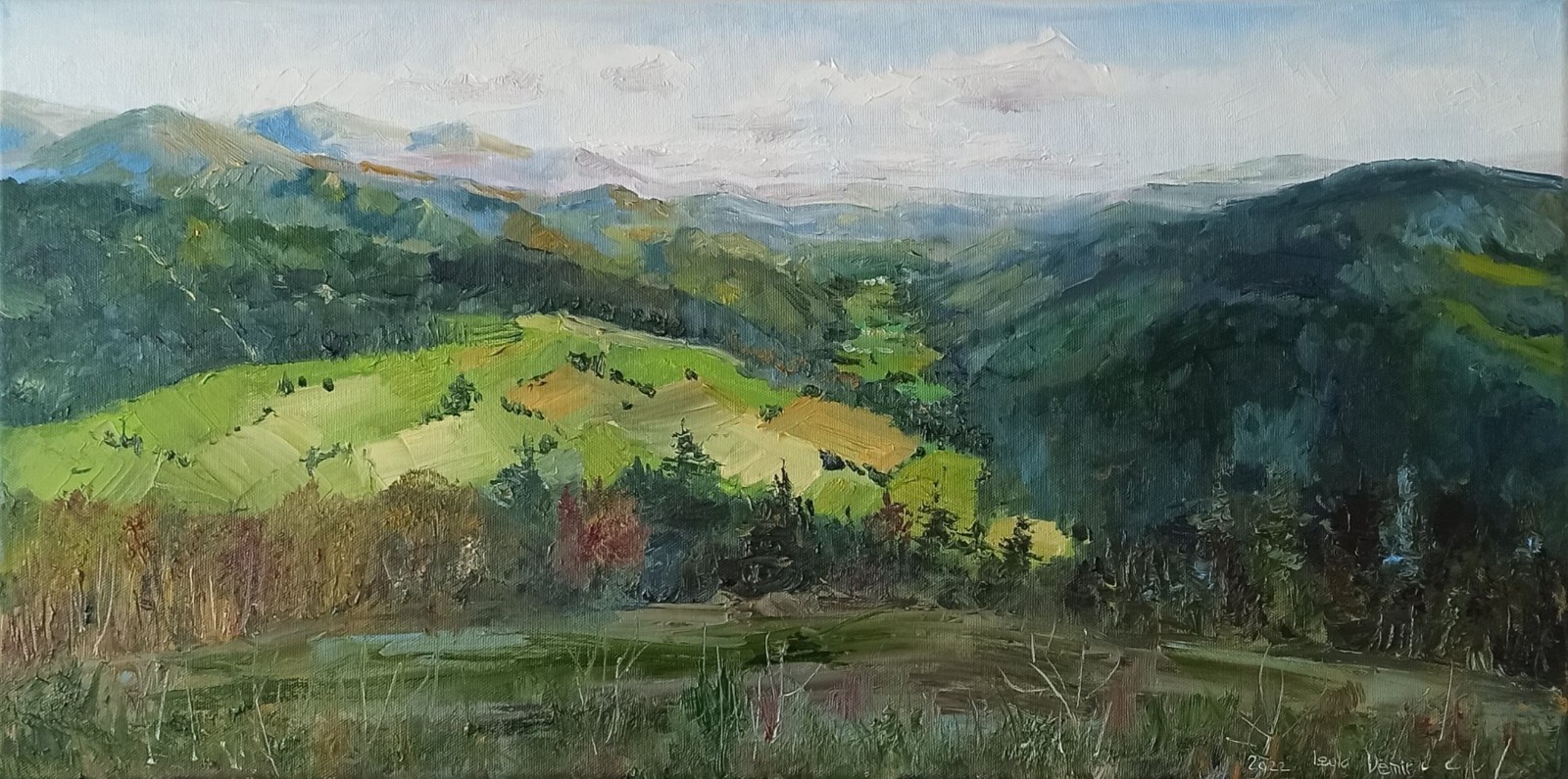 Mountain Painting Original Art National Park Forest and fields 16×32»