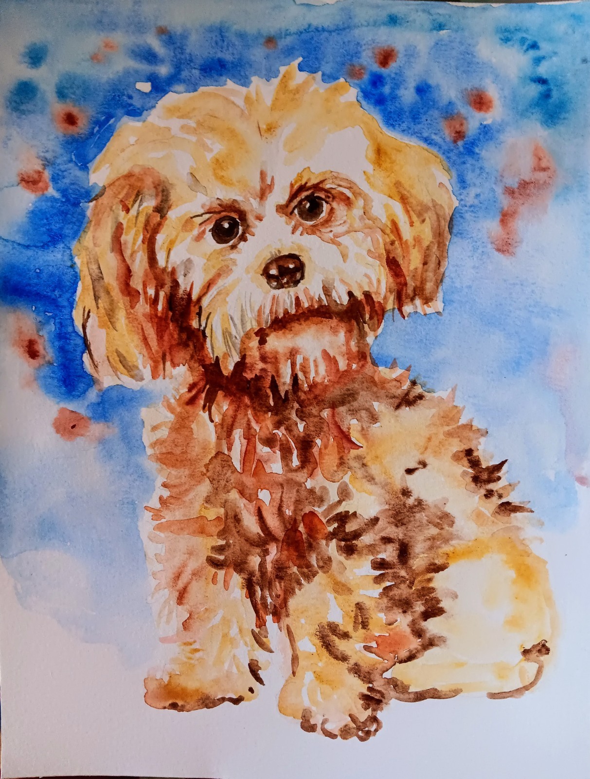 Original Peach poodle dog art Signed Watercolor Painting,dog Pet lover gift9x11″