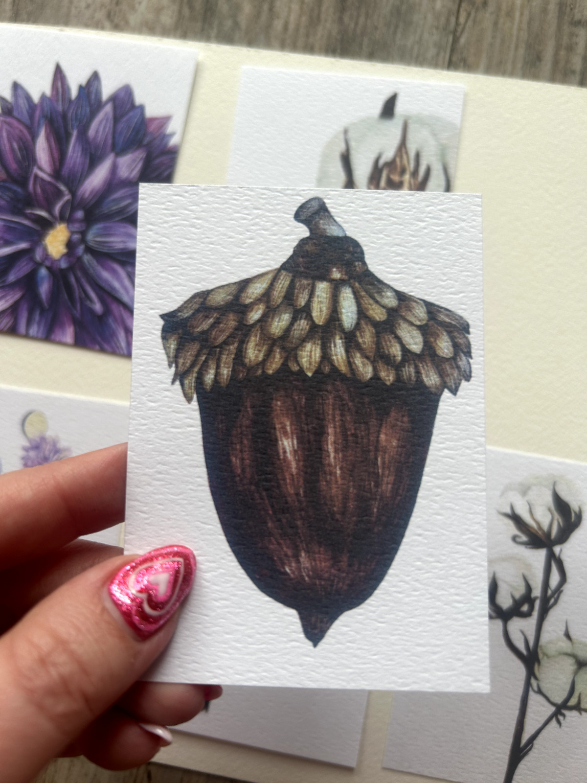 ACEO Edition- Print Sawyer Crane Flower Watercolor Acorn Fall Tree Autumn gift