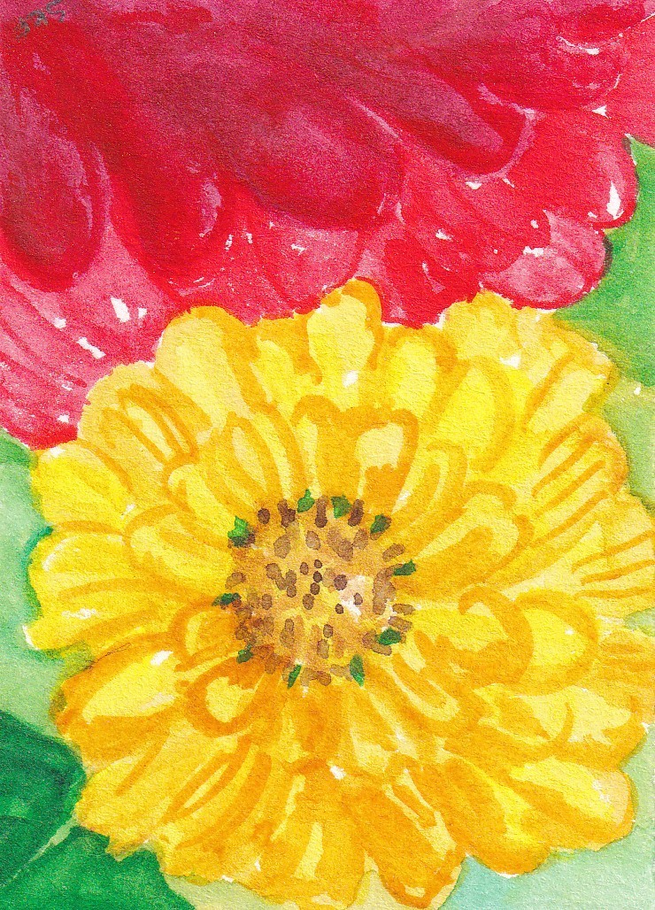 Original ACEO Yellow, Red Zinnia Watercolor Painting, Sharon Foster