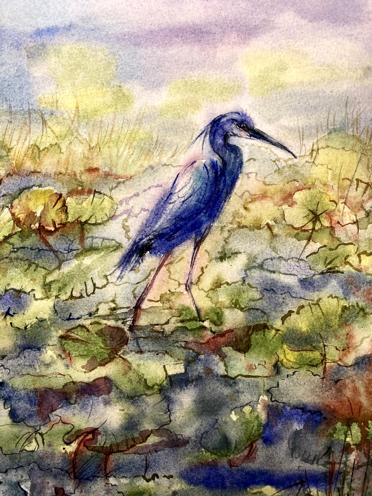 Green Heron in Marsh Great Heron Original Watercolor Painting