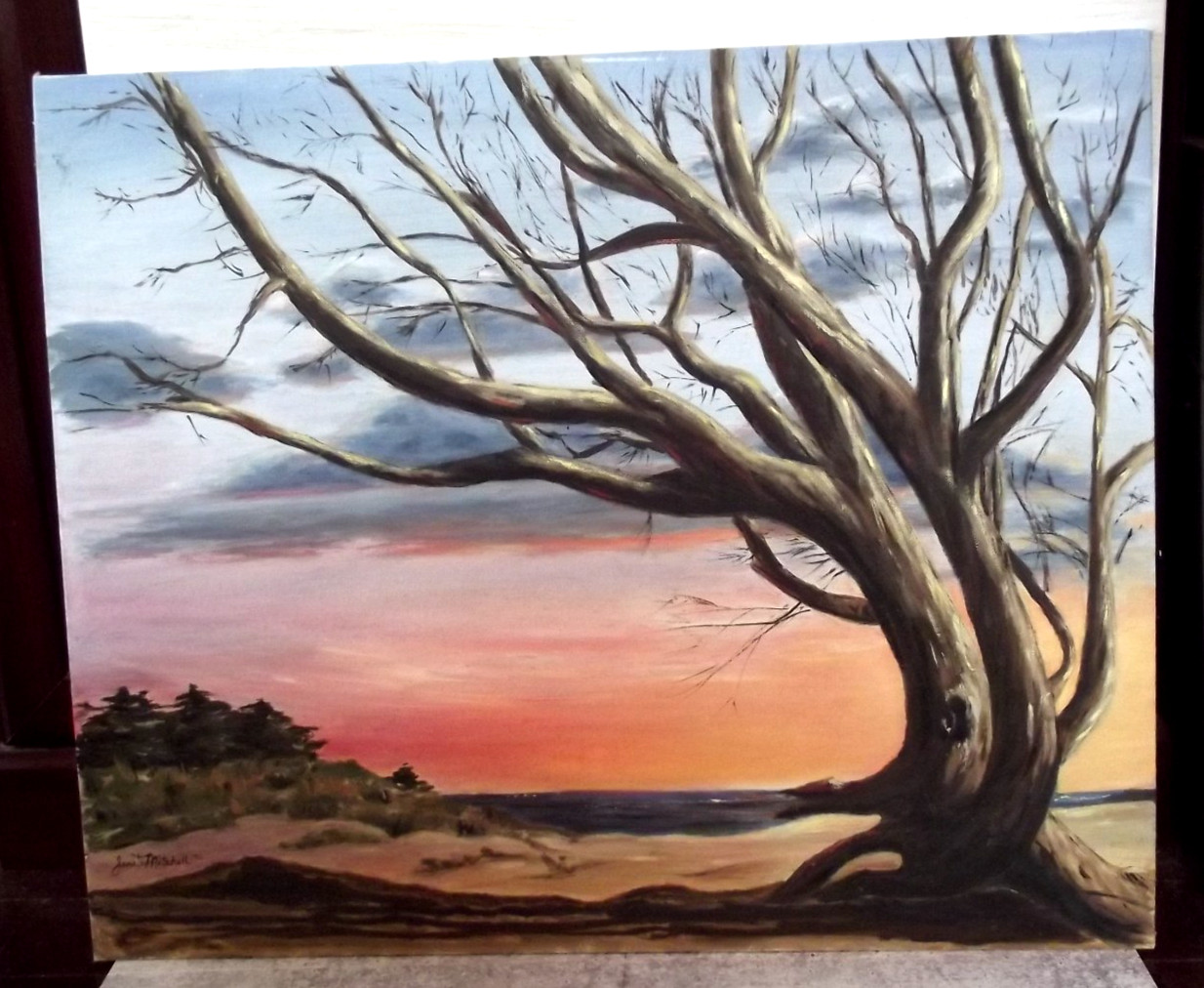 18×24 Pismo Vista II Landscape Tree Oil Painting Janet Mitchell 1994