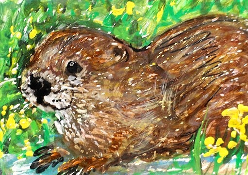 ORIGINAL ACEO Painting RIVER OTTER in Spring Animal Weasel Nature Pond ATC ART